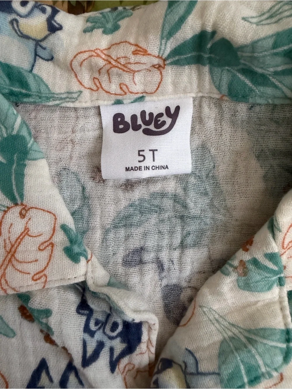 Bluey adorable matching